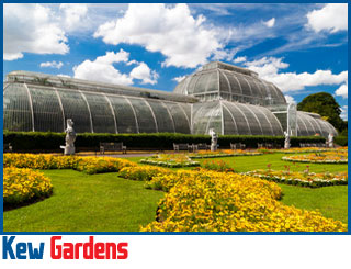 Kew taxi service, book with us now airport transfers